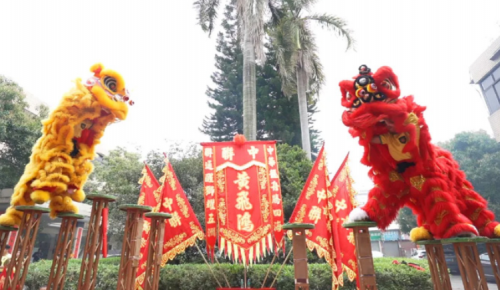 龙腾狮跃，共铸辉煌未来！